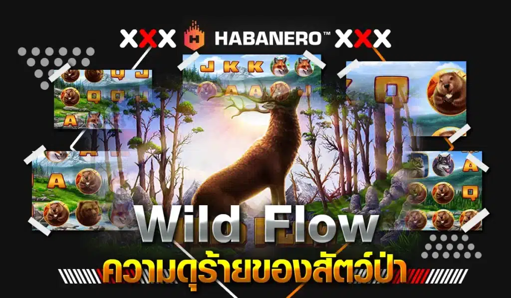 Wild Flow ความดุร้ายของสัตว์ป่า