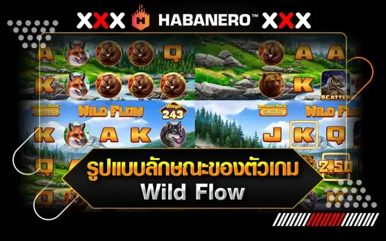 รูปแบบลักษณะของตัวเกม Wild Flow